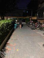 骚逼母狗之中元节夜晚小区内漏出2