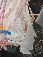 扫楼打胶爽歪歪1