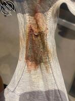 【原味内裤】骚逼女友穿内裤被我后入带淫水的内裤，可以考虑出0