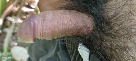 鸡吧太小了吗？想屏射你们的母狗都不发图片给我？绿们需要帮忙的发来我带去野1