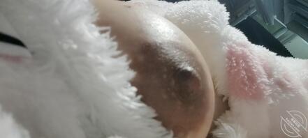 胶州小骚货2