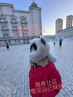 【原创内容126】妹妹第一次见到雪 兴奋得不得了1