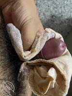 岳母岳父去了外地留了很多奶罩给我1