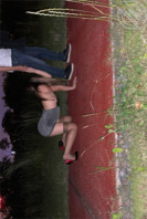 沧州的看过来，任务贴1