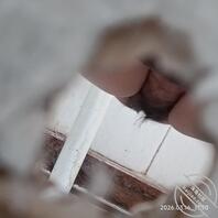 【原创侧拍】小小更新一下