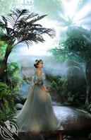 有没有专业开发的人士，想开发调教下一媳妇，0