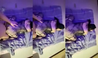 国庆节女友COS大蟒蛇，我狂怼