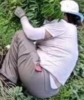 【原创-亲姑姑】和姑姑一起干农活，想和她乱伦2