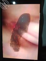 来看看有没有你家母狗，有兴趣评论区留图1