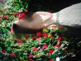 来看看有没有你家母狗，有兴趣评论区留图2