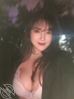 高乐狗狗是人类的好朋友吗