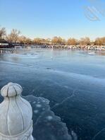 房山稻田，0.5，很骚，想要的速来0