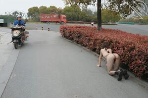 就喜欢把逼漏出来---母狗爬行姿势，城市绿化带极限露出，路人有眼福了2