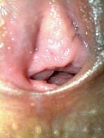 每天5张老婆照片0