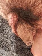 台州本地废物狗喜欢被羞辱，想找个女主人1