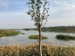 求大哥们出主意0