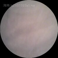 【家庭真实系列】内窥镜探索老婆淫穴内部结构