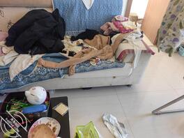 去姐姐家帮忙干活结果一进屋看到三角篓子2