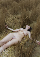 在人迹罕至的 庄稼地 拍写真的 文艺婊（ai）1