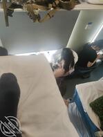 火车上的美女