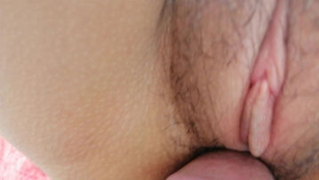 高清近距离深入美穴