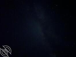 寻BBW母狗和少妇熟女0