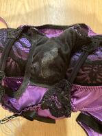 射老妈性感内衣裤2