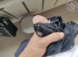 骚逼妈妈儿子找人一起干死你母狗0