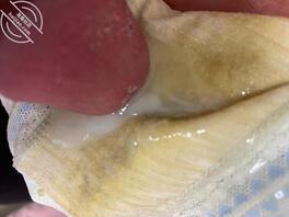 有机会拿到老母的原味内裤1