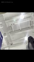 眼镜骚肥臀粉色骚内裤都嵌进逼里嵌出形状 漂亮口罩少妇大张双腿任由拍摄裙底