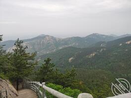 找个临沂的女搭子1