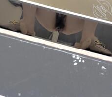 偷拍几个大学生