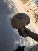 阿克苏地区，找浪女，快来一起战斗。1