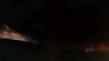 人妻家偷情毒龙