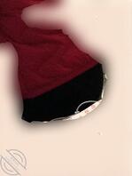 （原创）贪恋伯母0