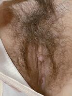 有喜欢毛毛多的吗