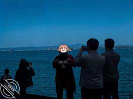 近期的野外露出合集1