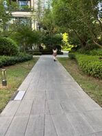 海口尾随小皮鞋打胶