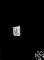 女厕偷拍  戴头纱的回族少妇