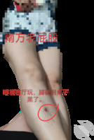 母狗妈妈的白浆