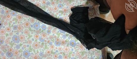 保定高阳的同好交流