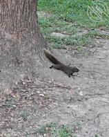 是的，我又偷偷留出门来自拍了2