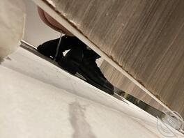 有没有女的呀海友里？1