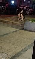 妹妹这样不怕走光吗？