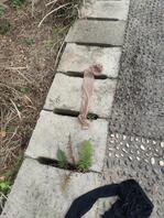 今天无意中发现有一个地方发现了很多穿过内衣1