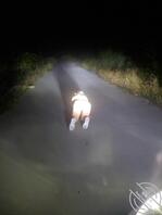 带母狗户外活动活动2