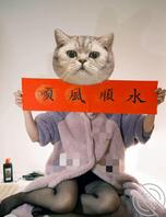 【原创】24、爱上摄影了，兄弟们，怪不得大家都觉得冒充摄影师系列得劲1