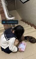 远房表妹在跟男朋友打电话，直接把他推到墙上偷情1