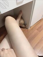 自己就谈过一个对象，最近压力很大，可以甜可以御姐 只希望能聊一个好男生！