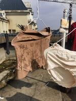 刚去楼顶找了个内裤施肥2